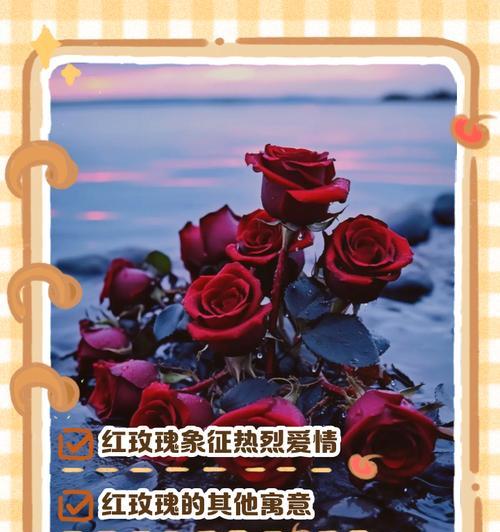 玫瑰搭配哪种花寓意最佳？花语组合有何讲究？