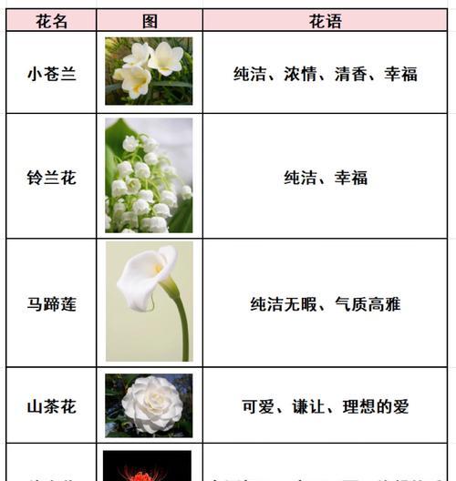 满天花的花语和寓意有何不同？