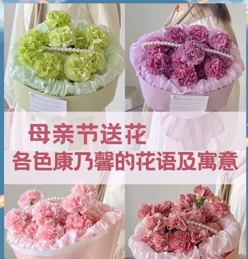 康乃馨的花语是什么？送康乃馨代表什么？
