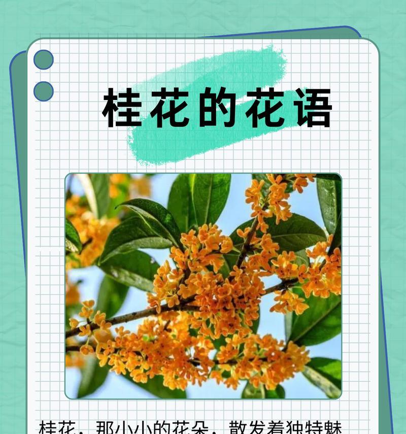 无花果的花语有何含义？它代表了哪种情感？