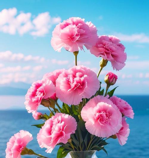 母亲节的花语有哪些含义？