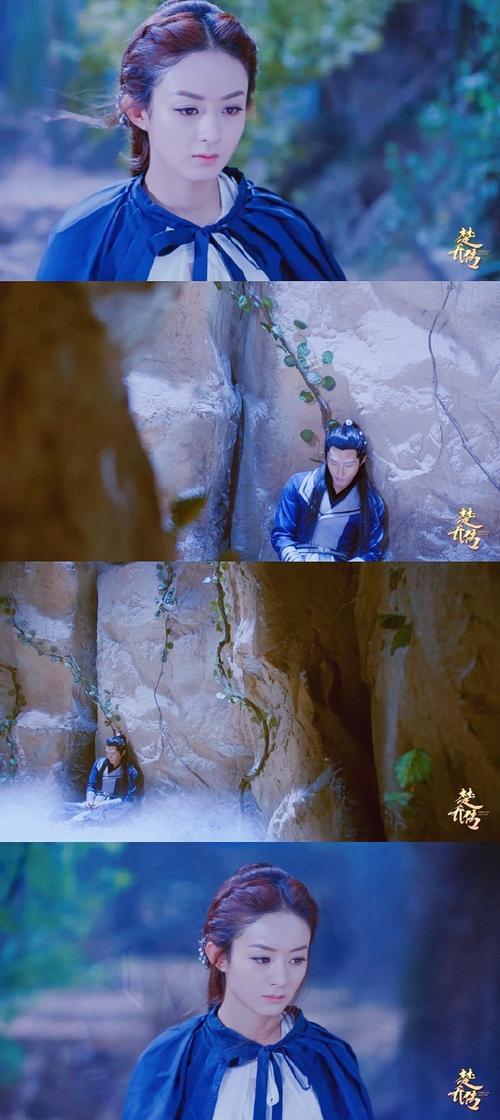 楚乔传中赵丽颖的花语有何含义？
