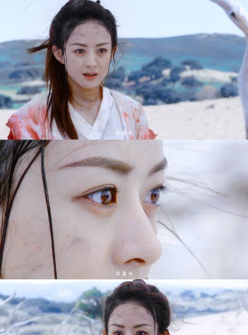 楚乔传中赵丽颖的花语有何含义？