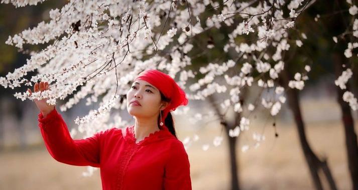 白山菜花语代表了什么？