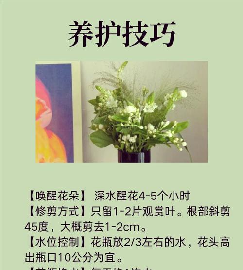 花语芬芳通常用来表达什么？