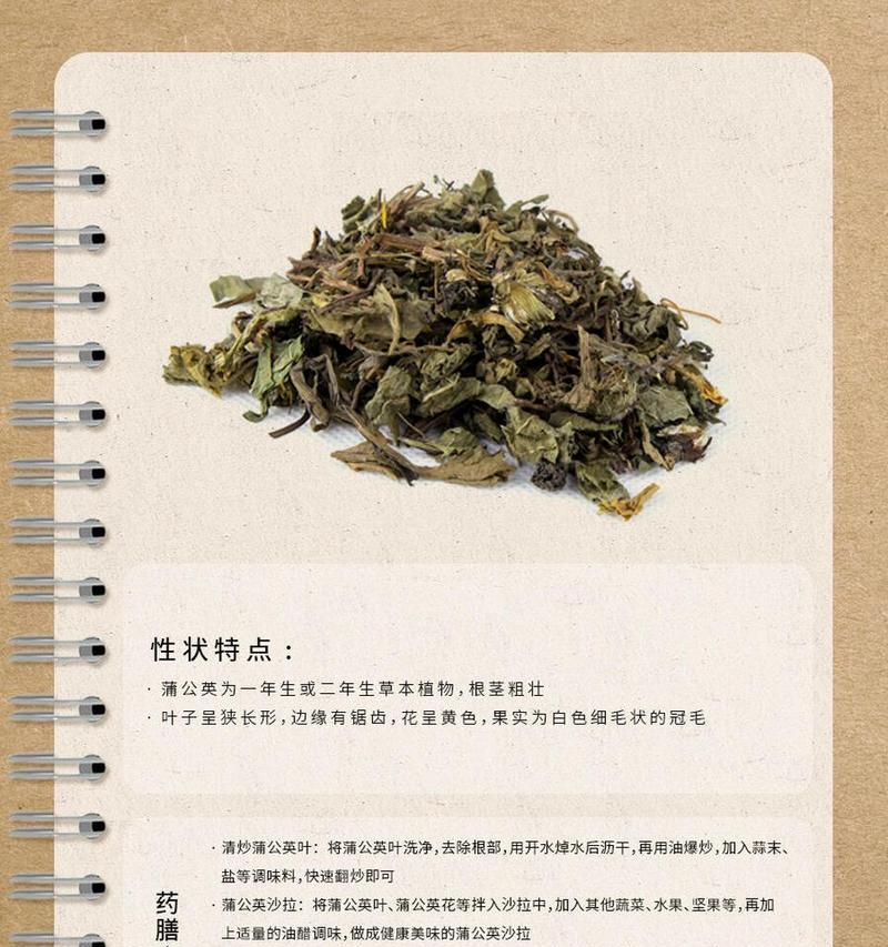 蒲公英的花语有哪些完整含义？