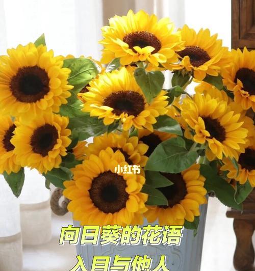 意外和平分手的花语是什么？它有何寓意？
