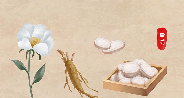 白芍作为中药材的花语是什么？它在传统医学中有何寓意？