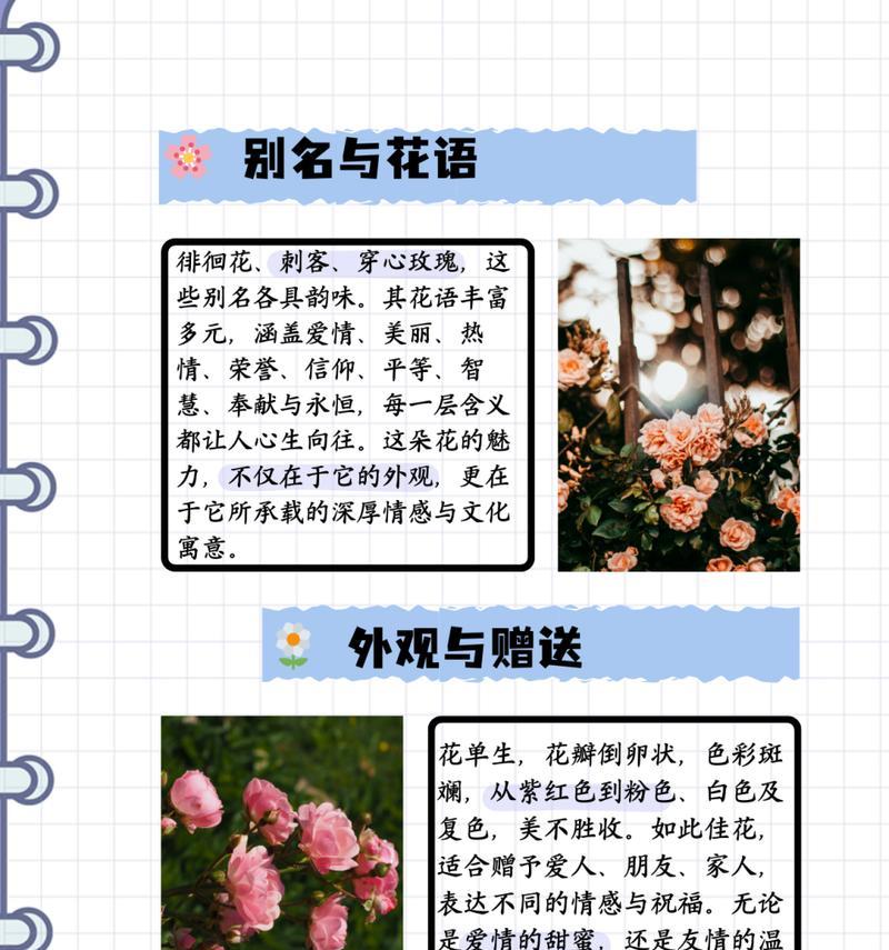 花语的含义是什么？如何理解花语？