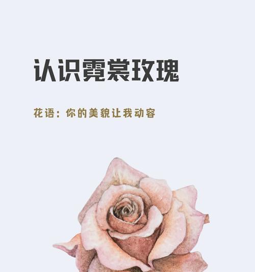 彩色的假玫瑰花的花语是什么？