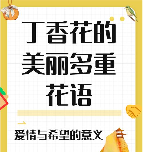 爱情向你飞来的花语是什么？如何用花表达爱意？