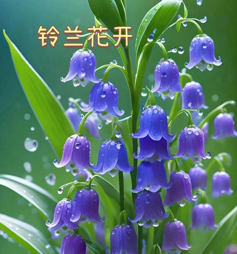 哪种花的花语表达了不在意？