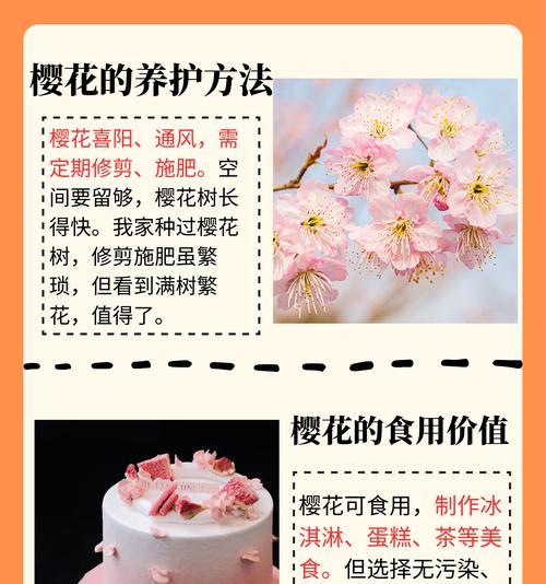 寓意出轨的花语是什么意思？樱花花语是什么寓意呢？