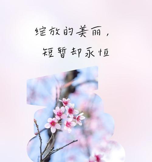 寓意出轨的花语是什么意思？樱花花语是什么寓意呢？