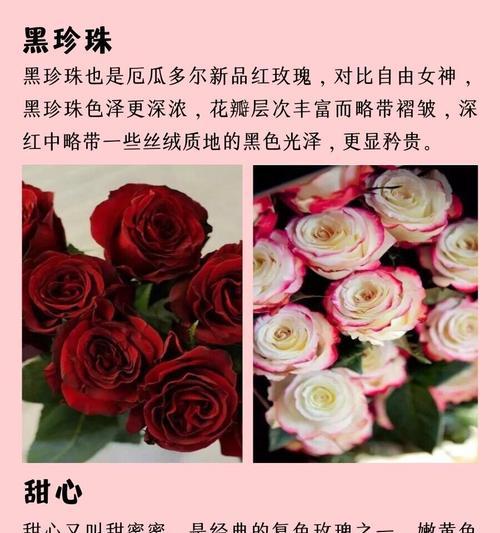 这种花语表达了怎样的情感？