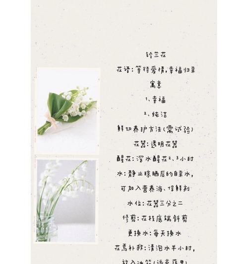 这种花语表达了怎样的情感？