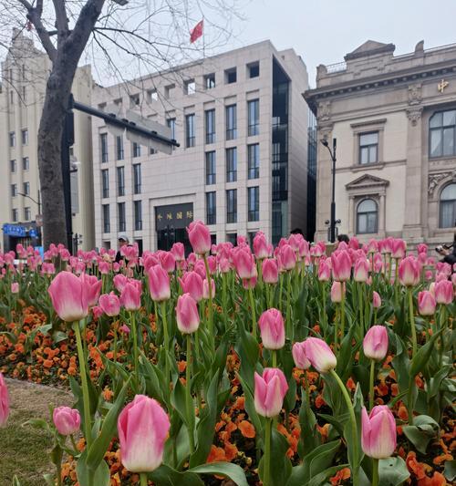 花语卡片上写什么话既美观又简洁？