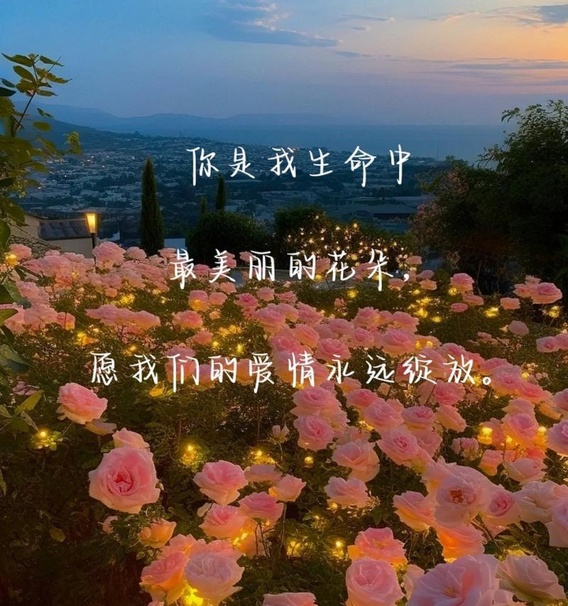 花语卡片上写什么话既美观又简洁？