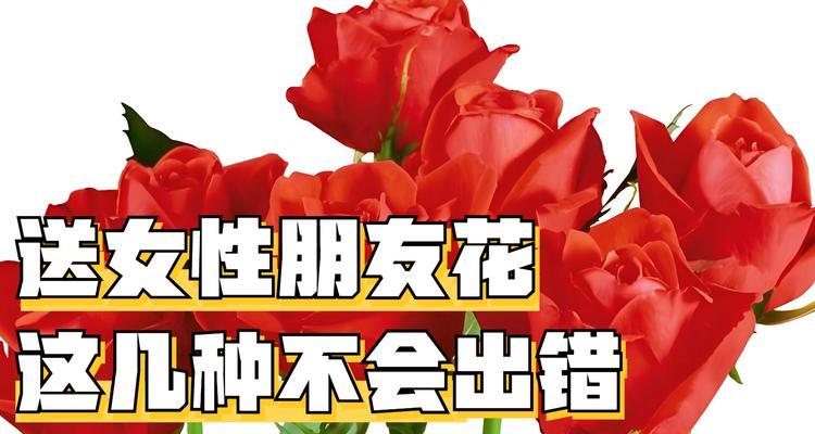 “爱与明天”的花语是什么？它有什么特别含义？