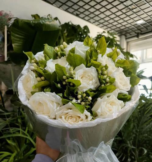 茉莉白玫瑰的寓意是什么？茉莉白玫瑰花语代表什么？