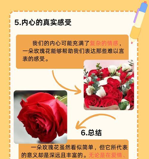 玫瑰花的花语有哪些？玫瑰花代表的花语是什么？