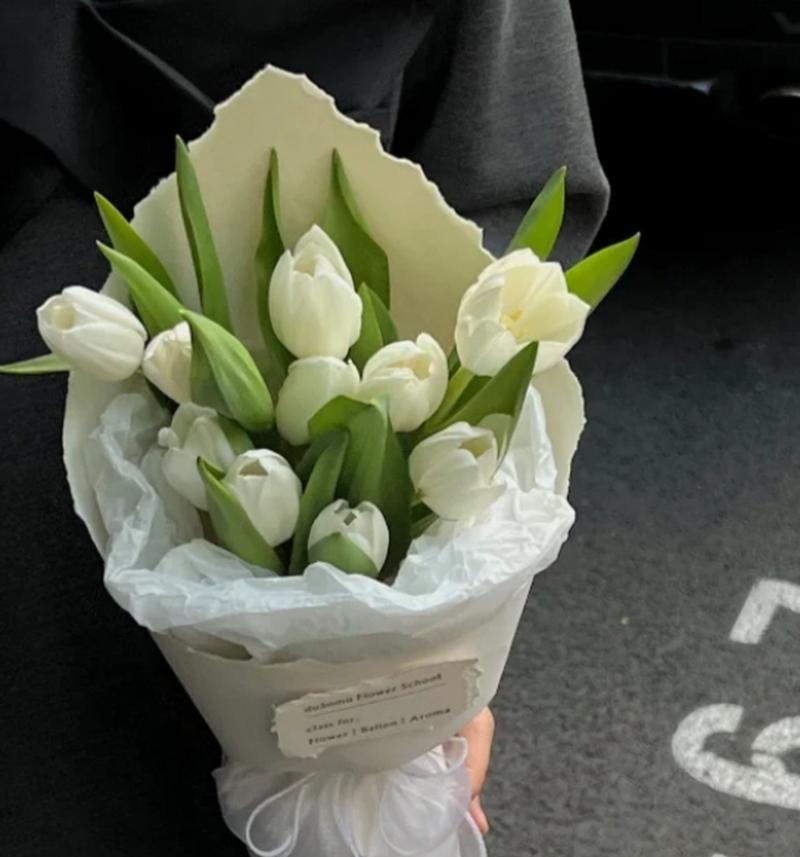 道具白色郁金香的花语是什么？白色郁金香代表什么含义？