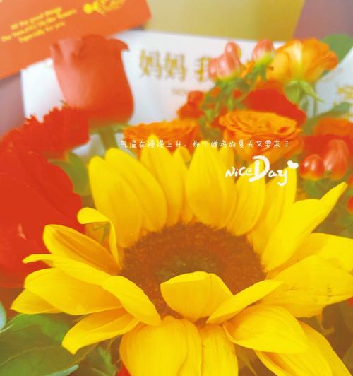 花语卡片写什么话好看一点？如何用花语表达爱意？