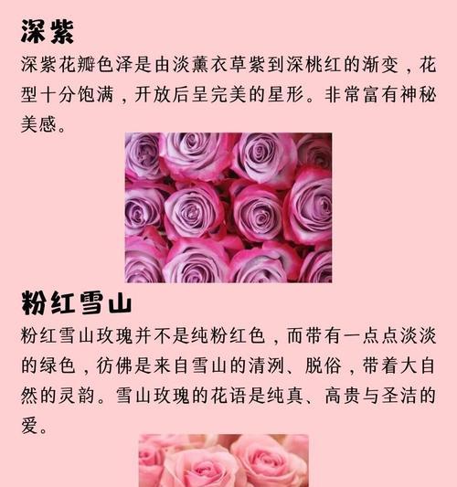 绿色玫瑰代表了哪些情感？