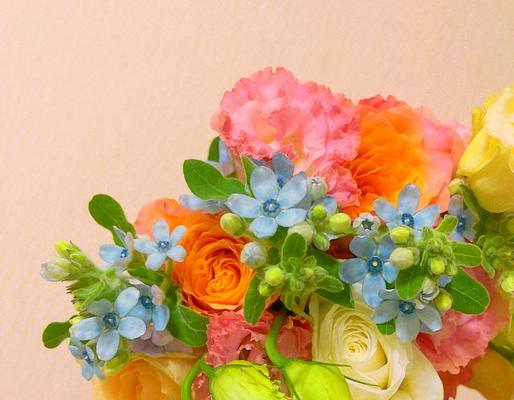 蓝星花搭配玫瑰花的花语是什么？