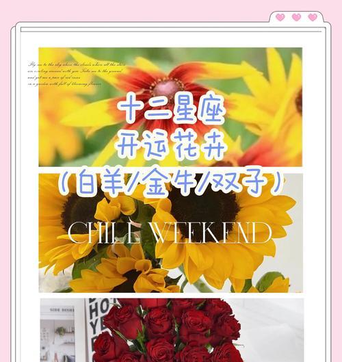 星座玫瑰花代表什么？星座与玫瑰花语有何联系？