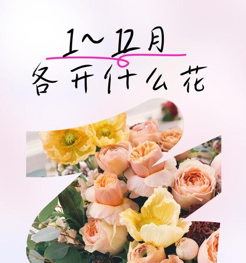 12月七日是什么花语呢？12月7日的花语有何特别之处？