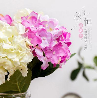迷人花语的道具有哪些？