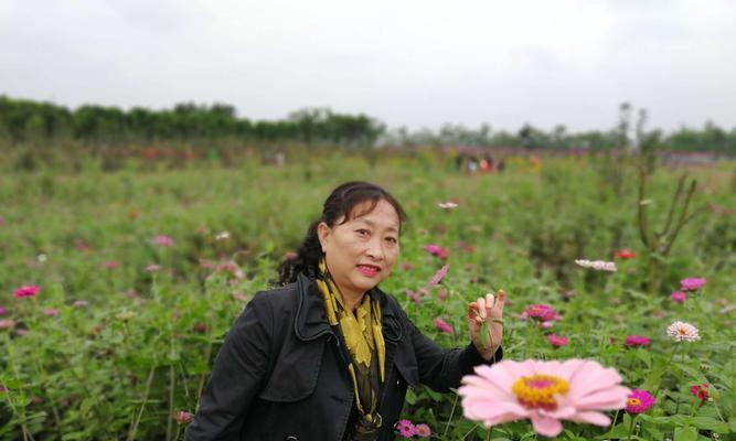 红苕花的花语是什么？倔强的红苕象征着什么？