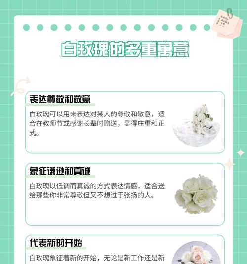 白玫瑰单独一朵的花语是什么？