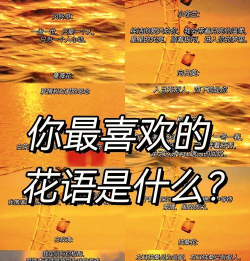 表达爱意的花语有哪些？