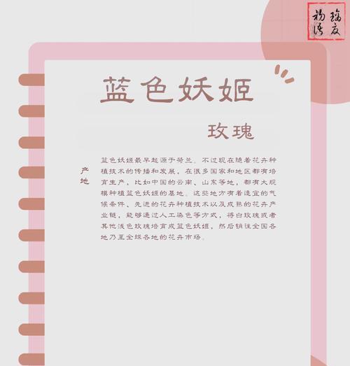 妖艳的妖姬花语是什么意思？它在文化中代表了什么？