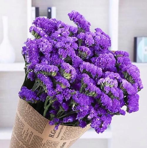 紫罗兰邂逅时的花语代表什么？
