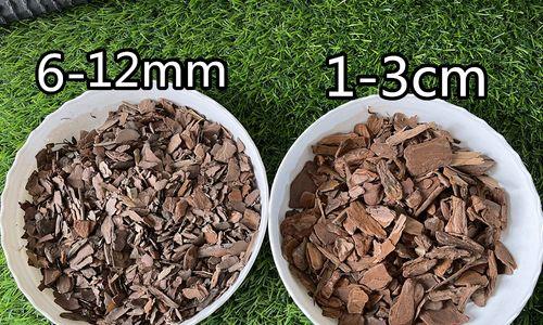 君子兰种植专用土的成分是什么？有何特别之处？