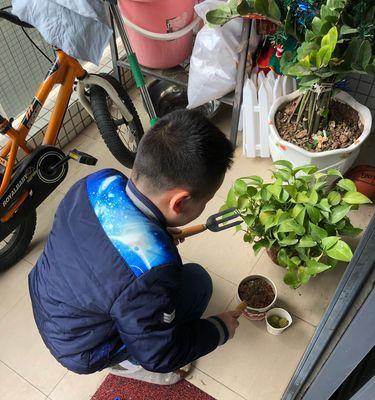 用袋子种植仙人掌的正确步骤？