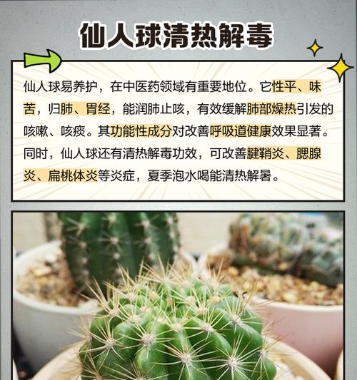 仙人球扦插繁殖的方法有哪些？