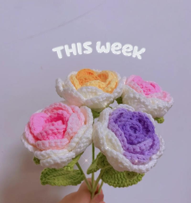 香槟玫瑰花的插栽种方法是什么？如何保证成活率？