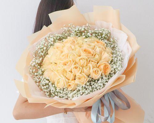 香槟玫瑰花的插栽种方法是什么？如何保证成活率？
