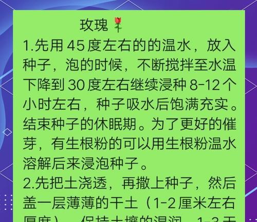 如何在我的庄园中种植玫瑰花？