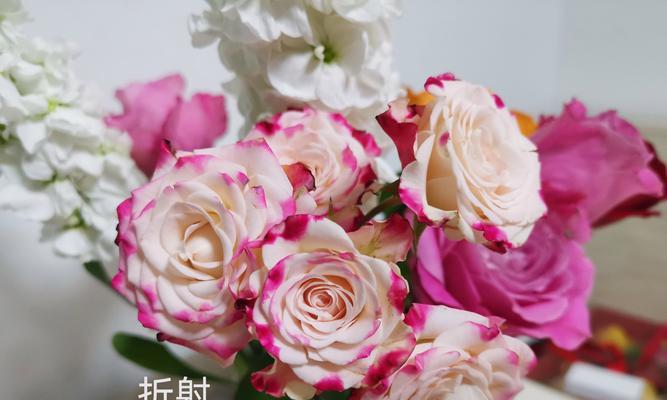 山玫瑰花的种植技巧有哪些？如何确保成活？