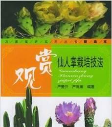 仙人掌裂开后如何正确种植？种植过程中应注意哪些问题？