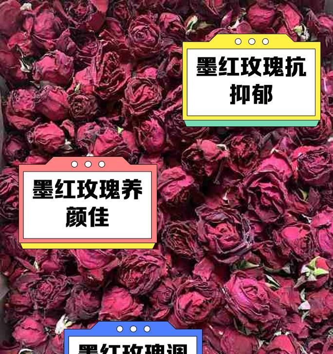 墨红玫瑰与普通玫瑰花的区别是什么？