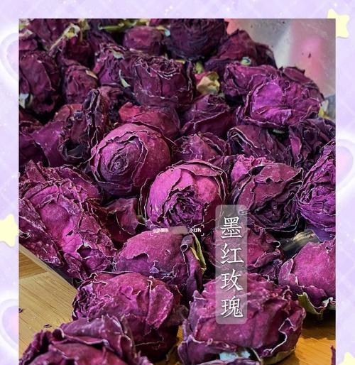 墨红玫瑰与普通玫瑰花的区别是什么？