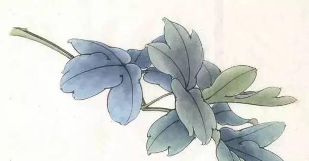 牡丹花镂空叶子的美观修剪方法是什么？