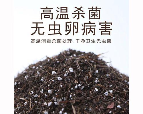 君子兰栽种最适合用什么土？土壤选择对生长有何影响？
