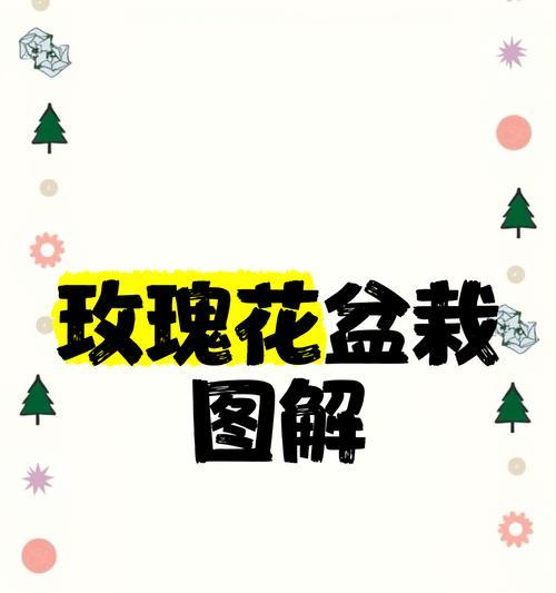 玫瑰花假花如何快速生根？有哪些插花技巧？